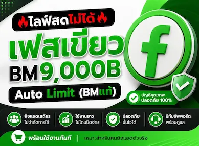 ซื้อ 🔥ไลฟ์สดไม่ได้🔥เฟสเขียว BM9,000B Auto Limit (BMเเท้) บัญชีโฆษณา Facebook คุณภาพสูง - YINGADS